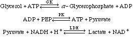 formulas