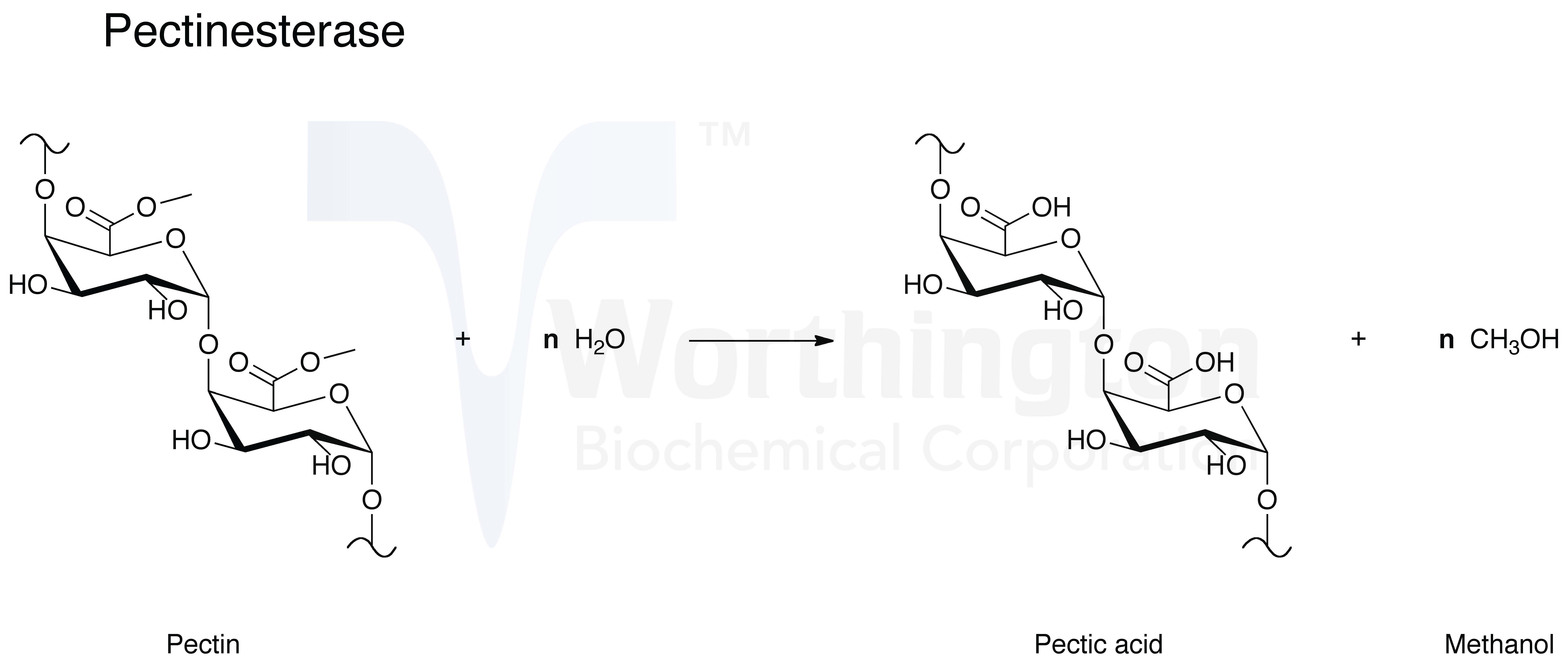 Pectinase Worthington Enzyme Manual